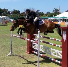 Discussion # 10: What causes a horse to jump like this?