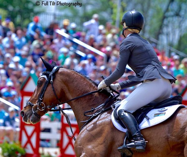 Applying Dressage to Jumping   (Current freebie!)