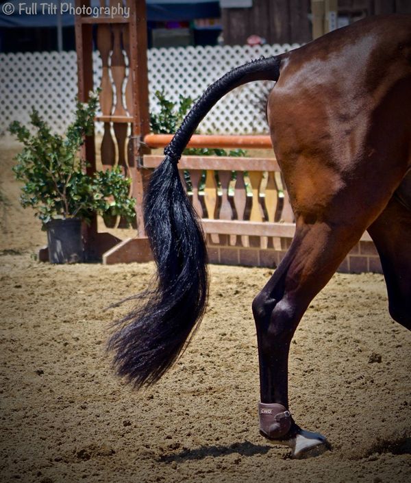The Tail Tells the Story