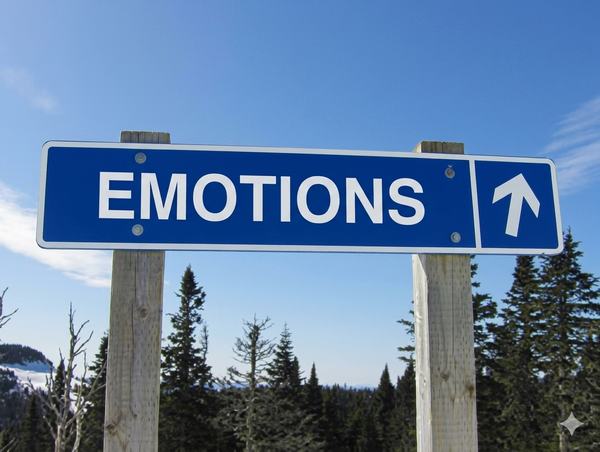 A Rider's Control of Emotions