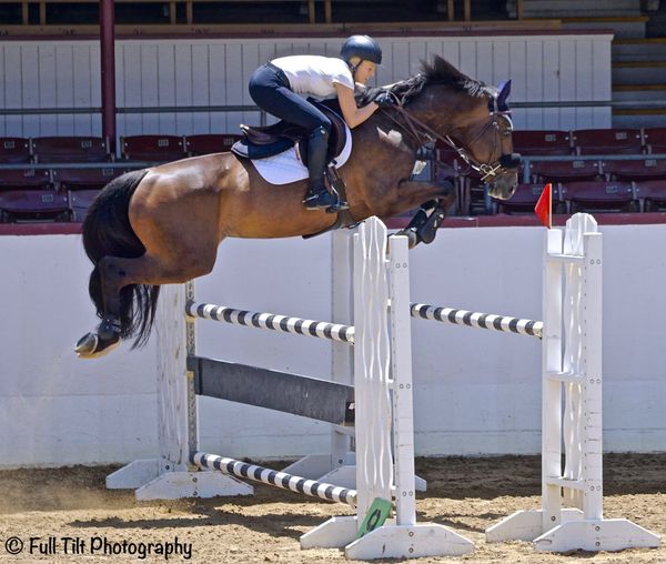 An Exercise to Test the Foundation of Your Jumping   (Current Freebie!)