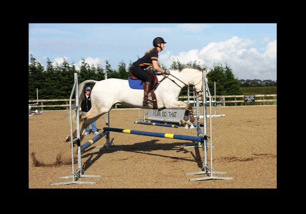 The Low Wide Oxer Exercise