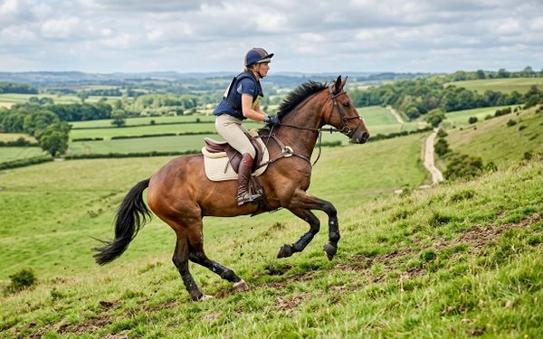 Strength Training for the Equine Athlete