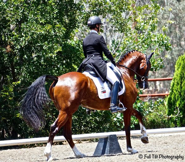 Introducing the Counter Canter