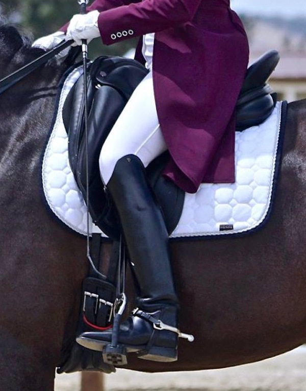Rider Leg Aids