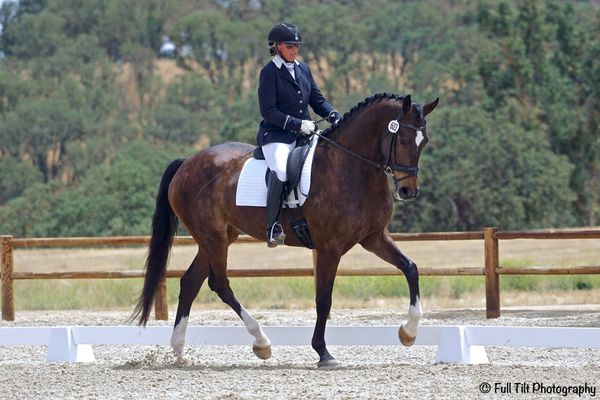 The "Walk Two Steps and Trot Again" Exercise