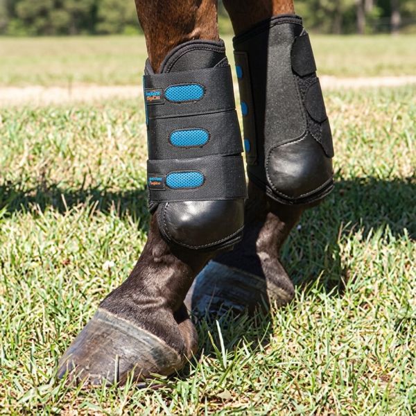 Leg Protection For the Event Horse