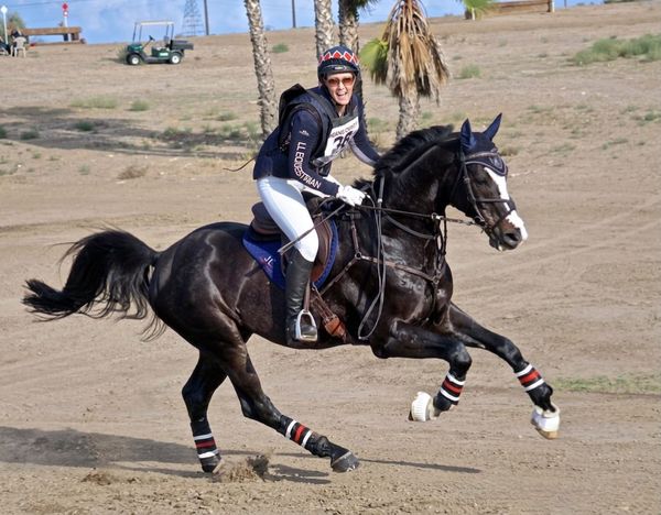 A TEST of Your Horse's Rideability & Adjustability