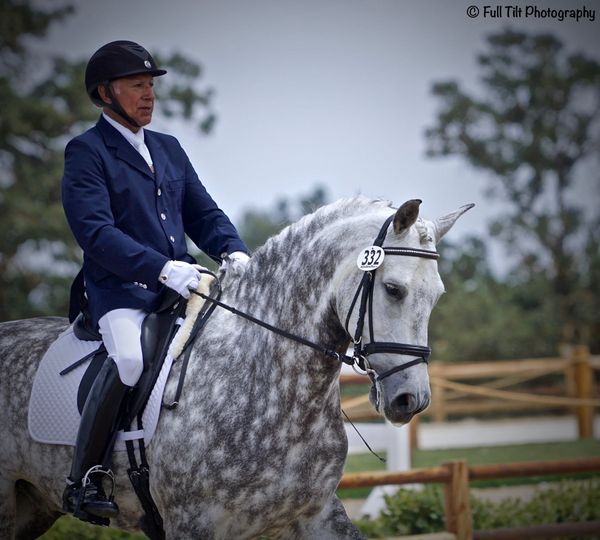 Are You Riding With Your Reins at the Right Length?