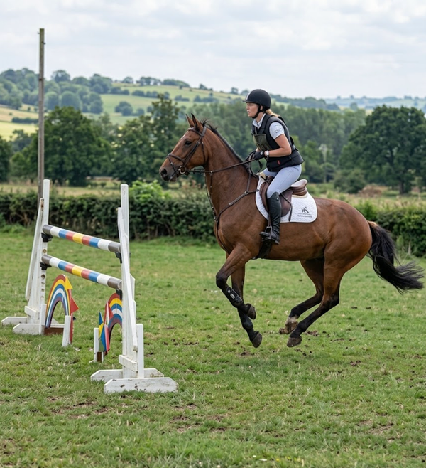 An Exercise to Teach You to Wait For Your Horse to Jump