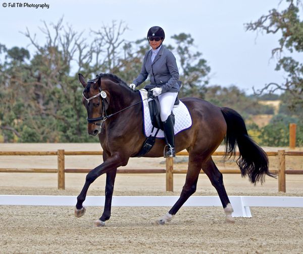 Improving Canter Departs
