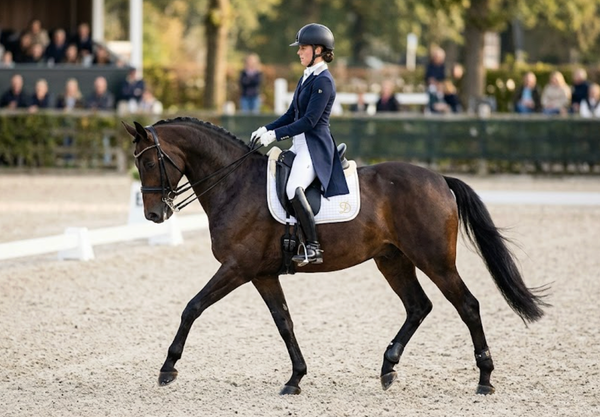 The "Floor" of Your Dressage Seat
