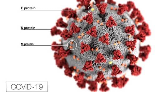 A close-up of a virus

AI-generated content may be incorrect.