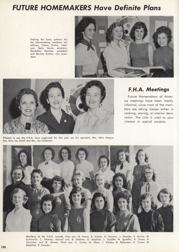 从未消失的家庭妇女