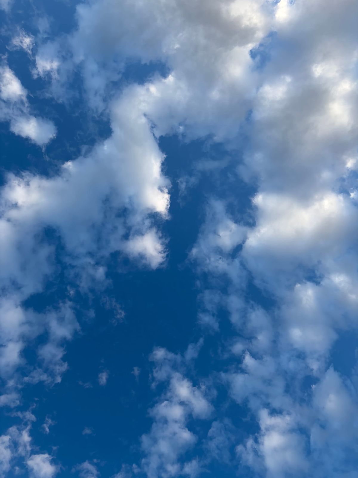 I’m back to my playground workouts