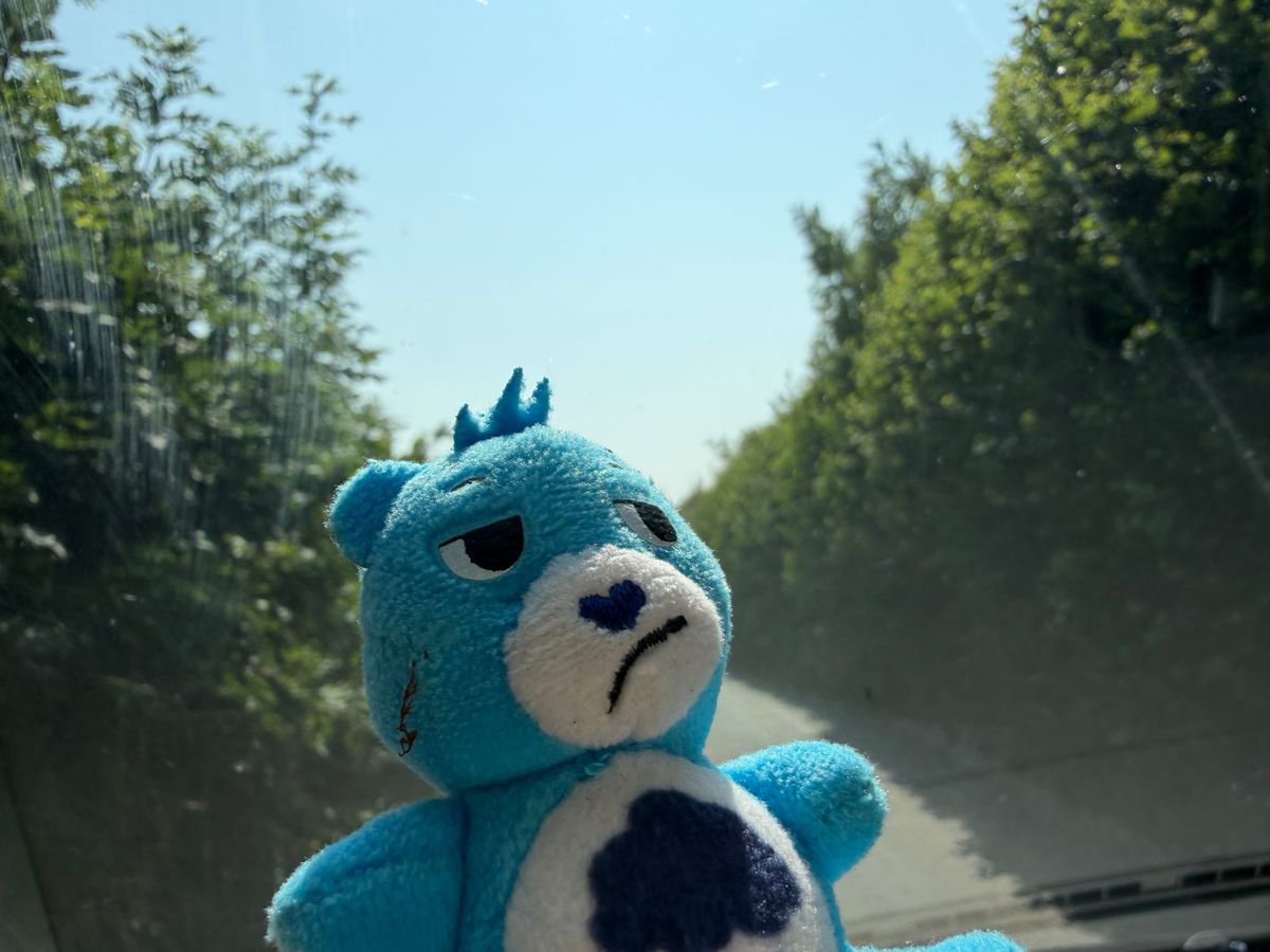 Grumps goes on holiday