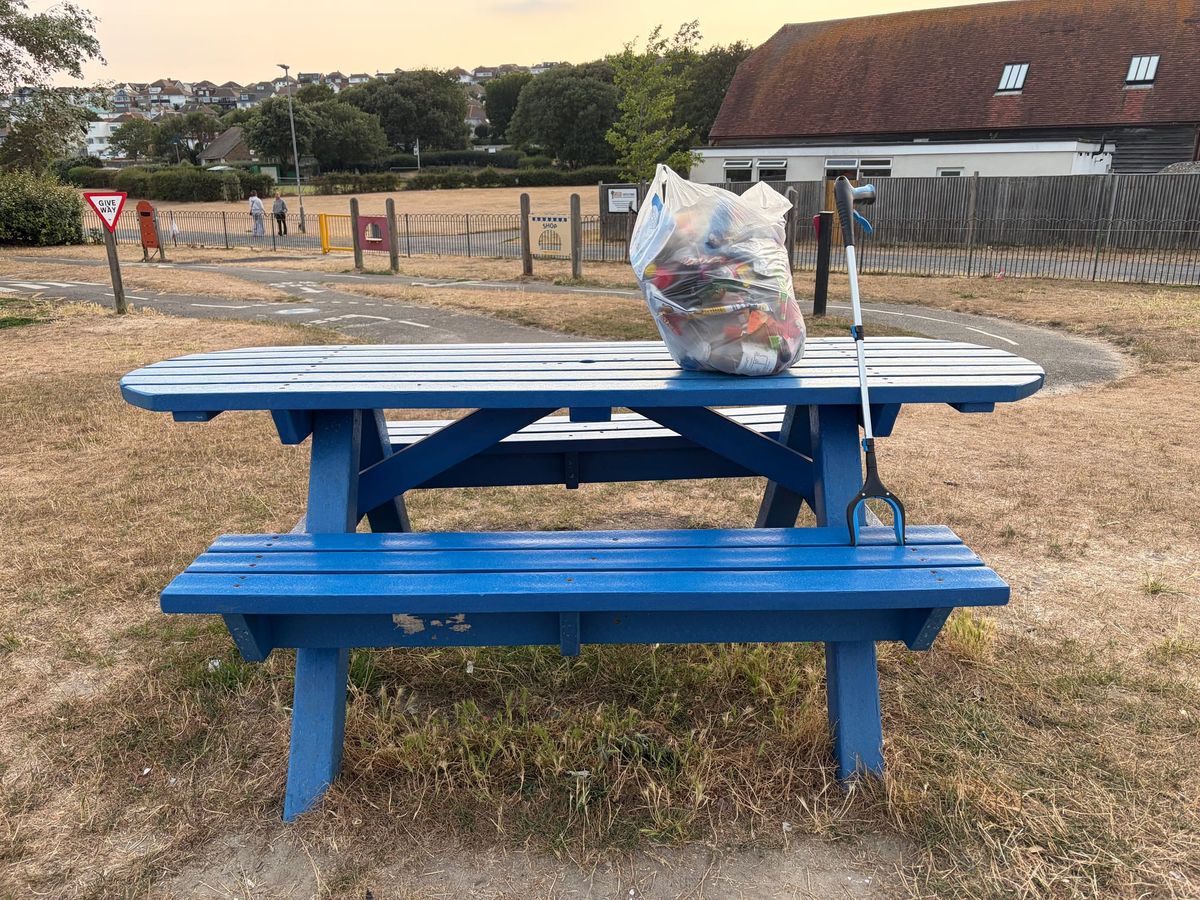 I started litter picking