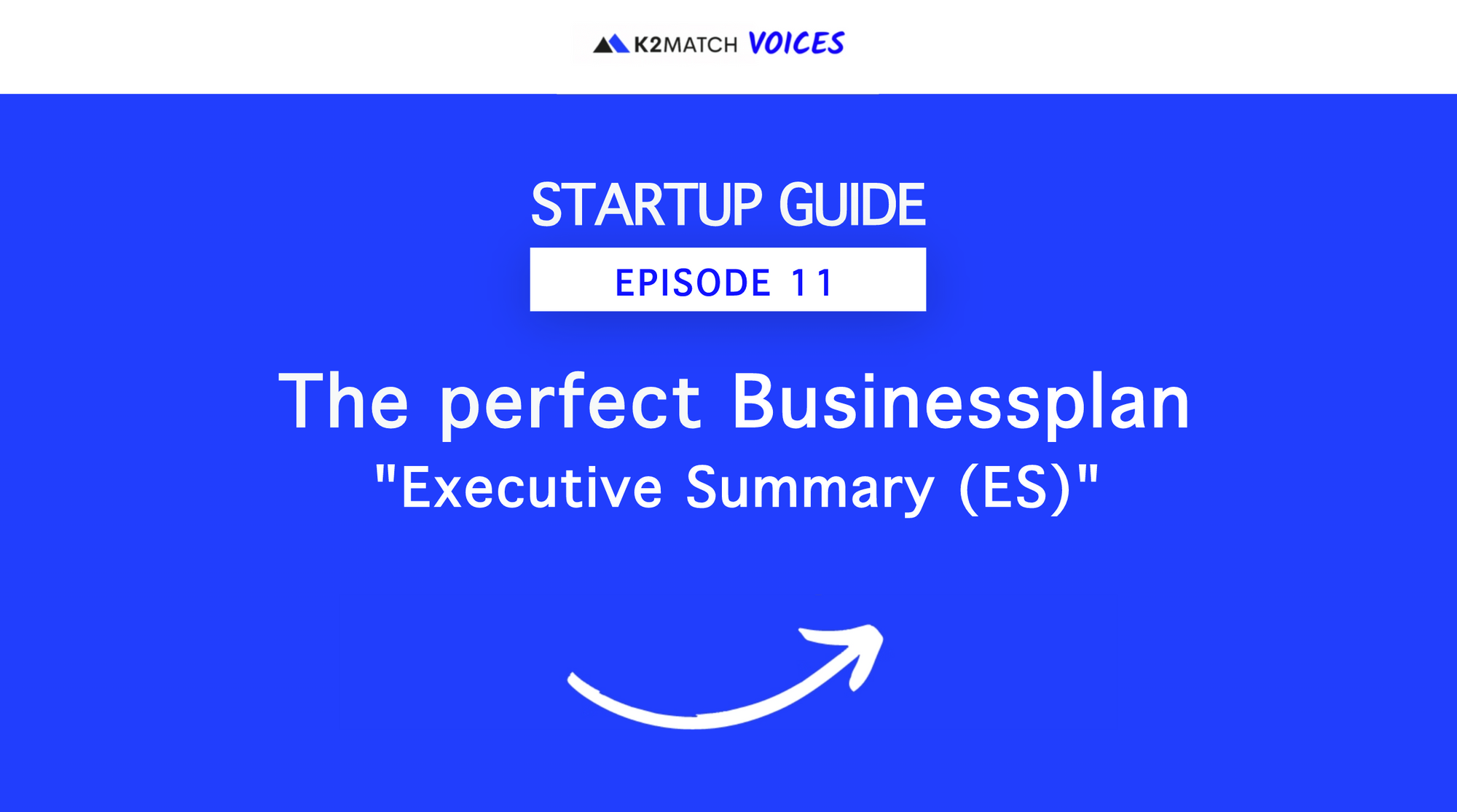 Executive Summary (ES)