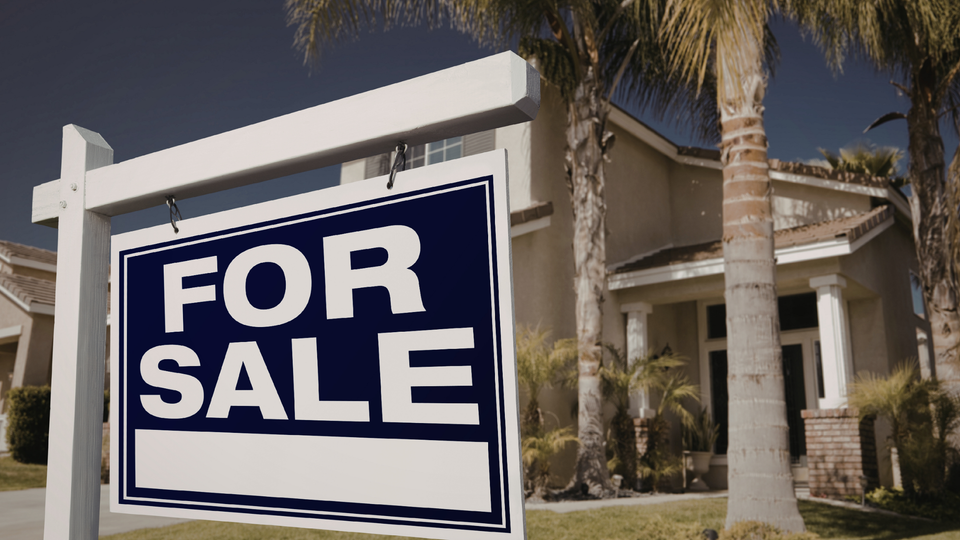 Active, Pending & Recently Sold Listings