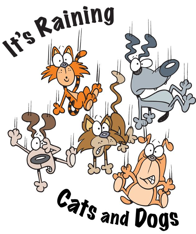 It's raining cats and dogs