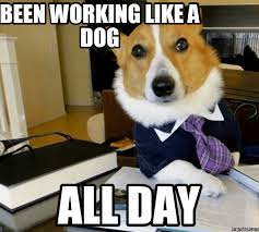 Work like a dog