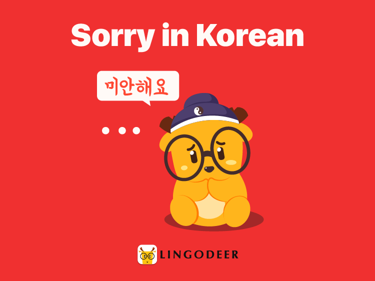10 Useful Ways to Say Sorry in Korean (and How to Respond)