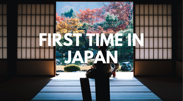 Useful Japanese travel sentences