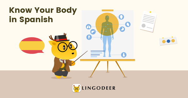 body parts in spanish chart
