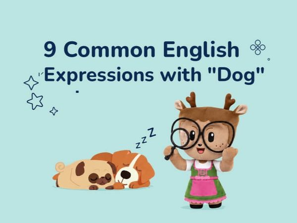 9 Common English Expressions with "Dog"