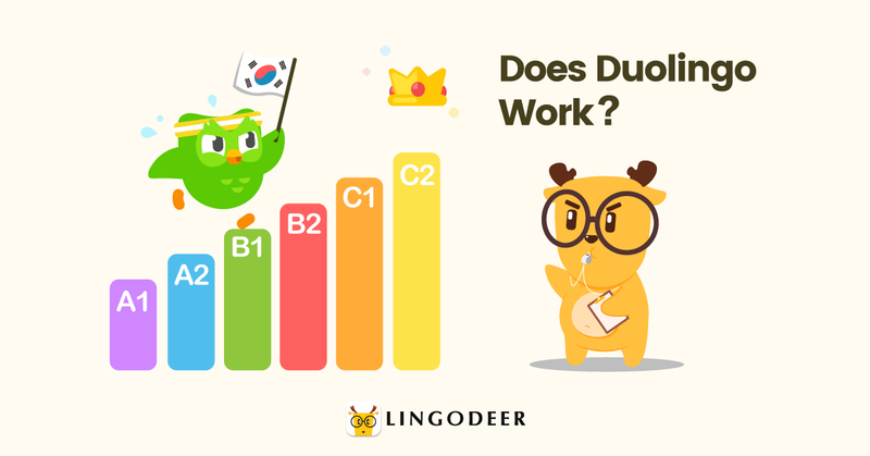 Duolingo Korean Review - Should You Use It? [2020 Edition]