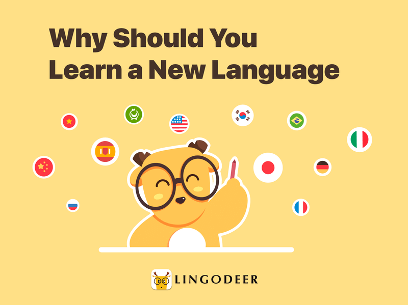 should I learn a new language