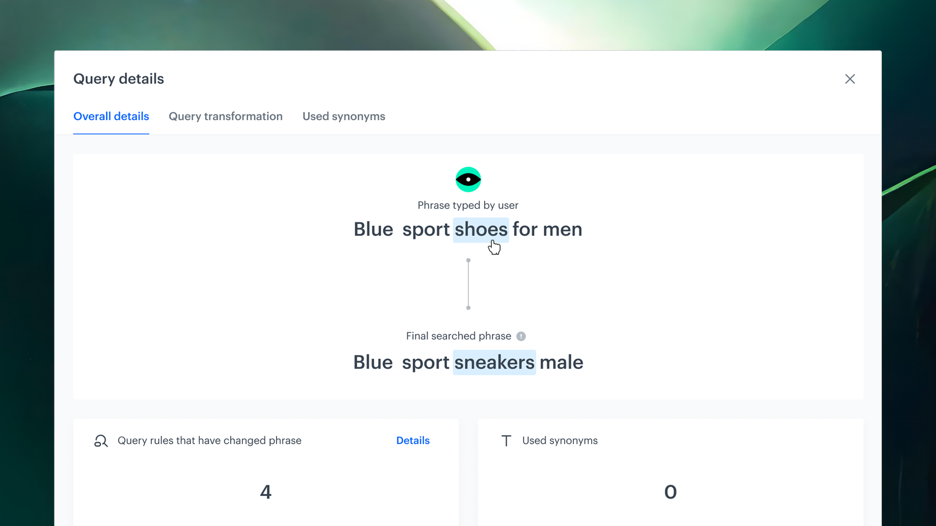 Synerise Search Explain feature providing full transparency into search result generation and ranking logic