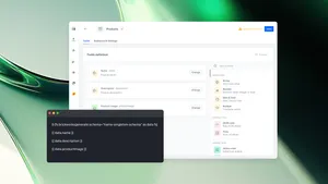 Singleton Schema in Brickworks