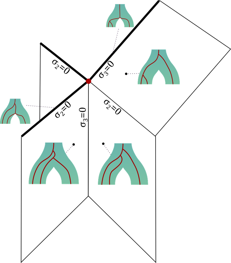 Nested Tree Space: a geometric framework for co-phylogeny