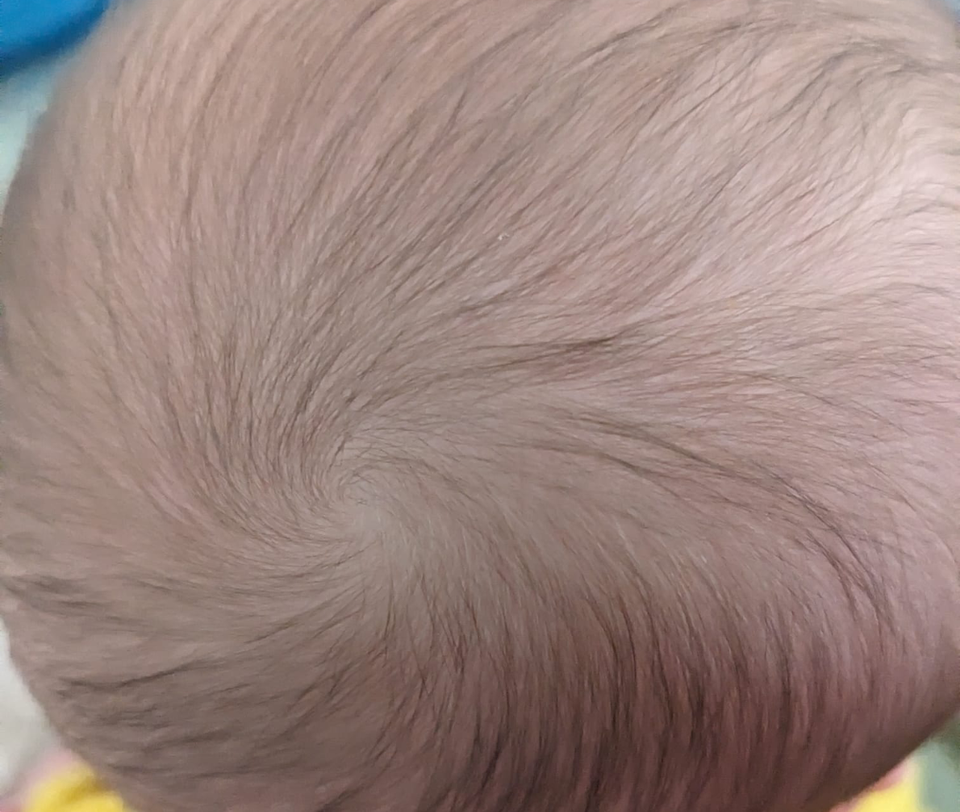 Lecture notes on Algebraic Topology