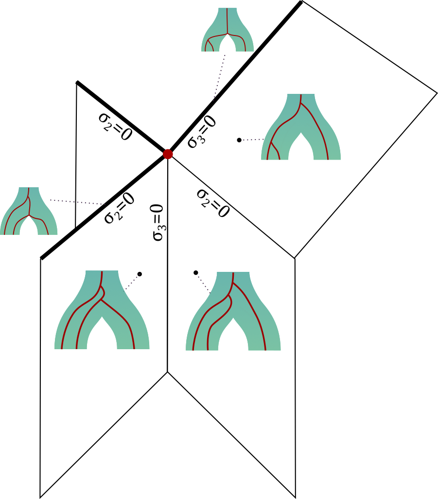 Nested Tree Space: a geometric framework for co-phylogeny
