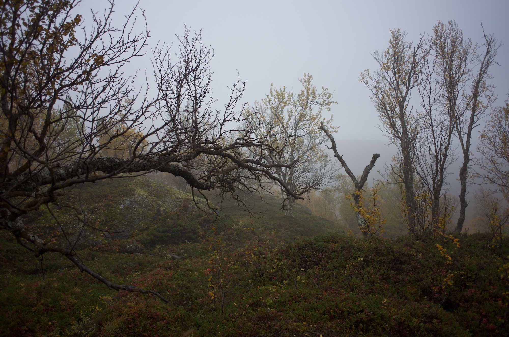 Reaching for a friend