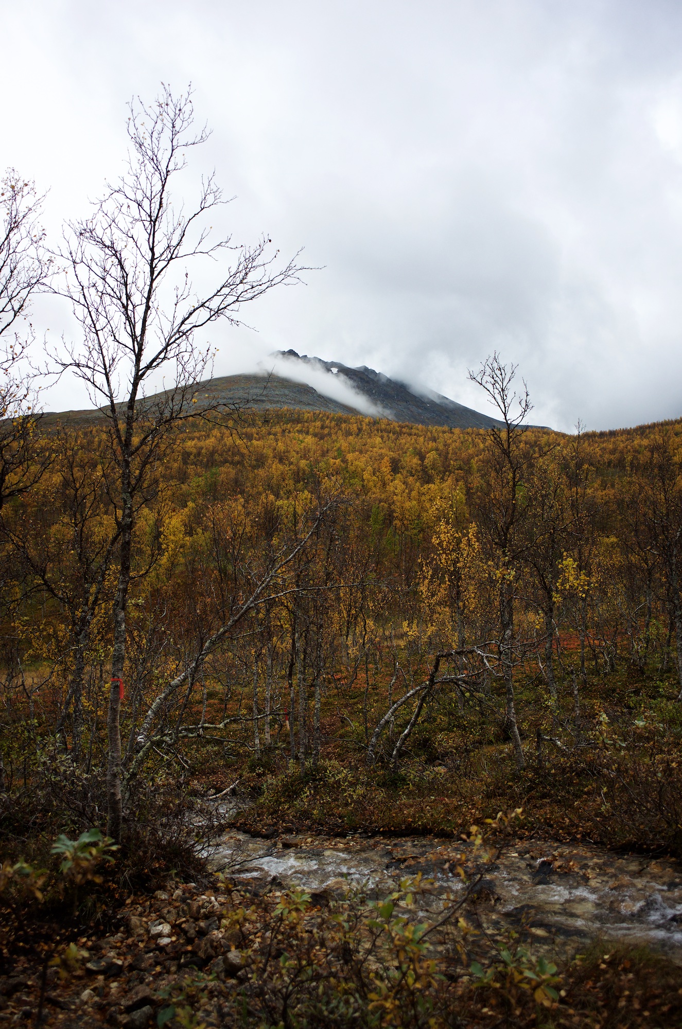 It looks way less steep from here. As always...