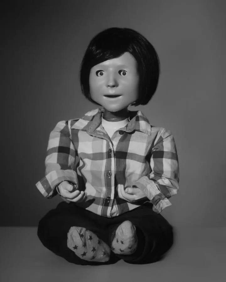 The ghost in the shell is you