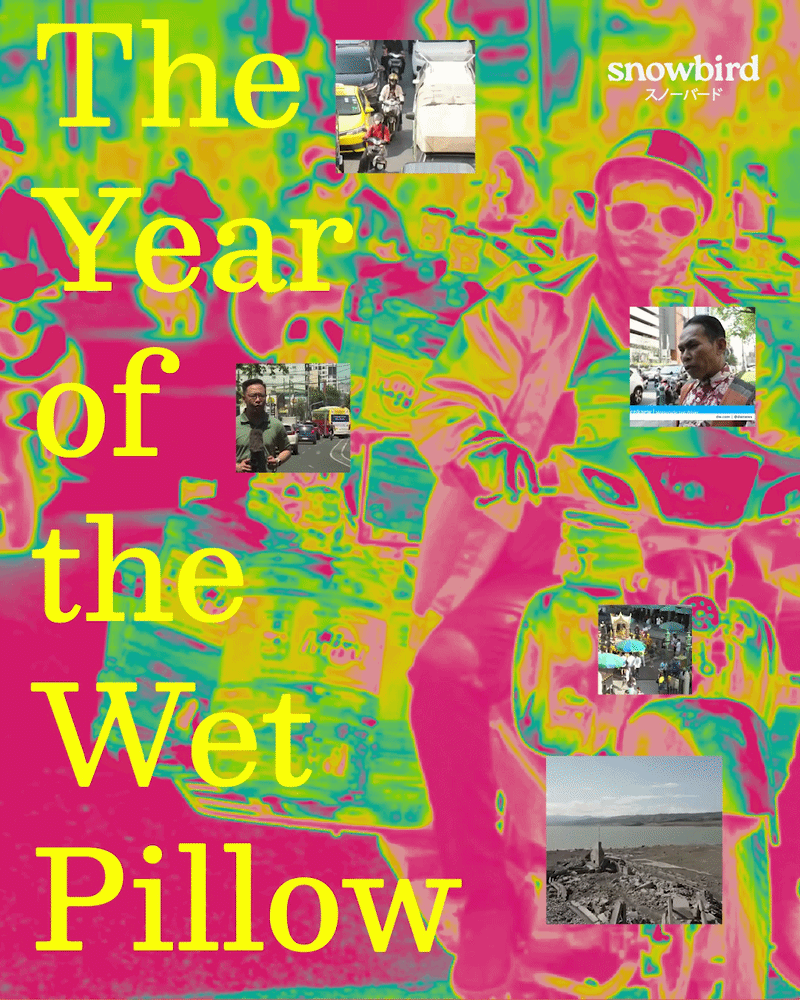 The Year of the Wet Pillow