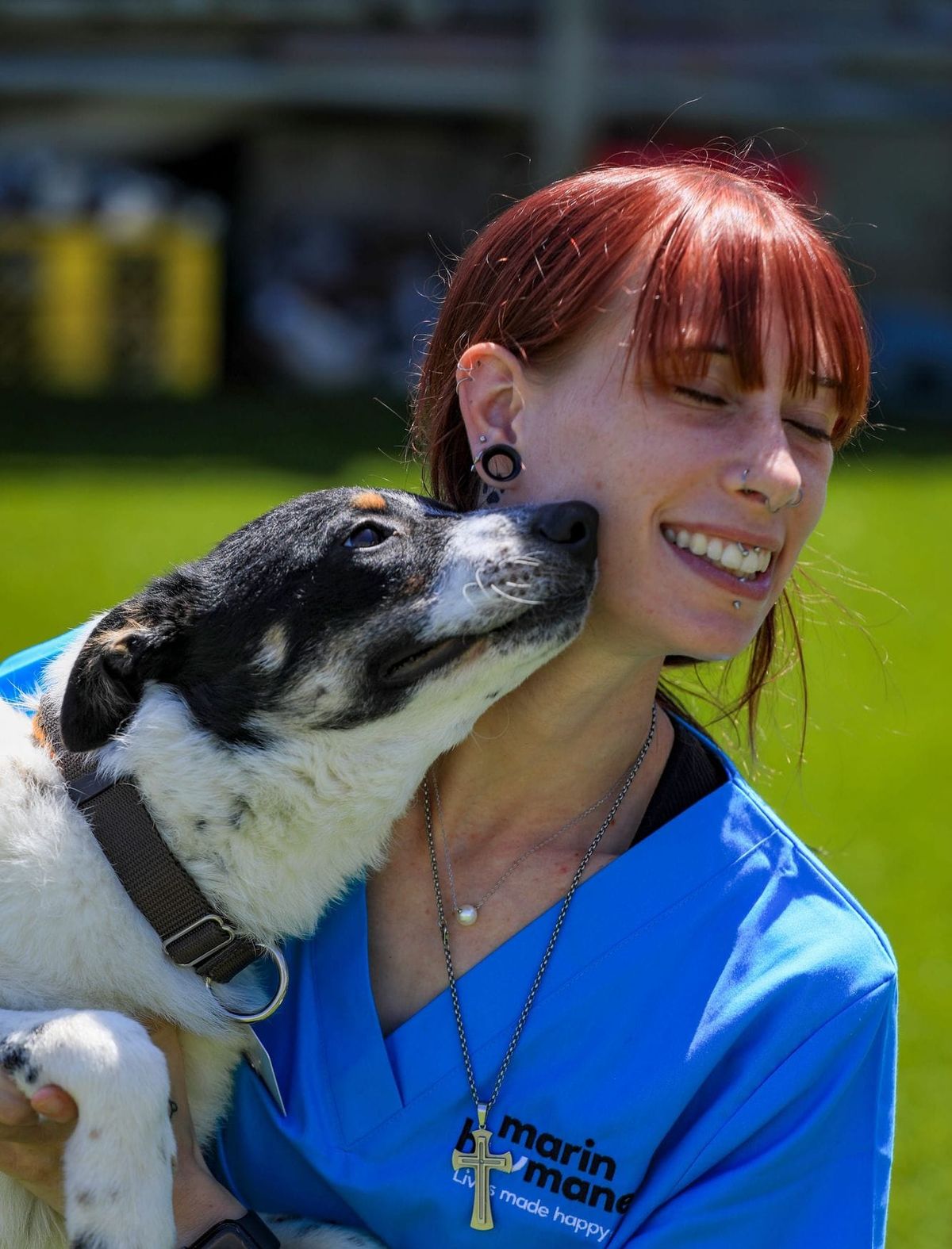 Fewer Animals, More Transparency at Petaluma Shelter