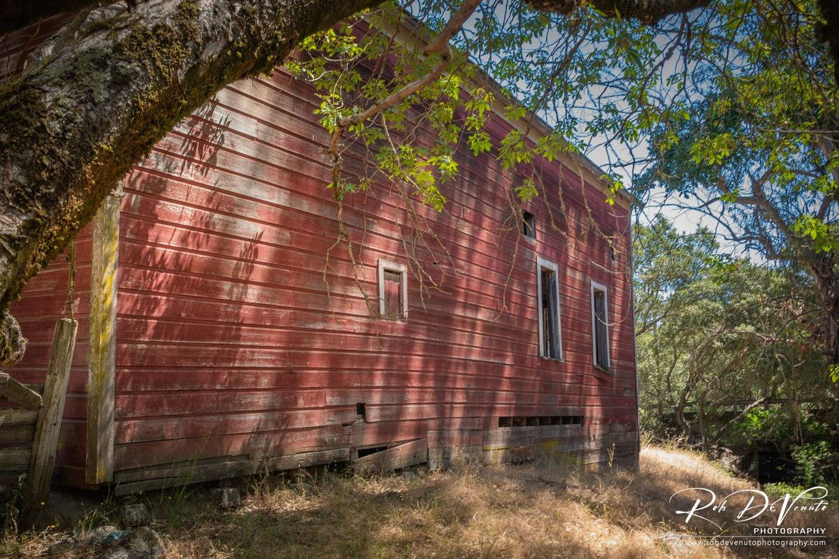 Scene & Herd: Scott Ranch