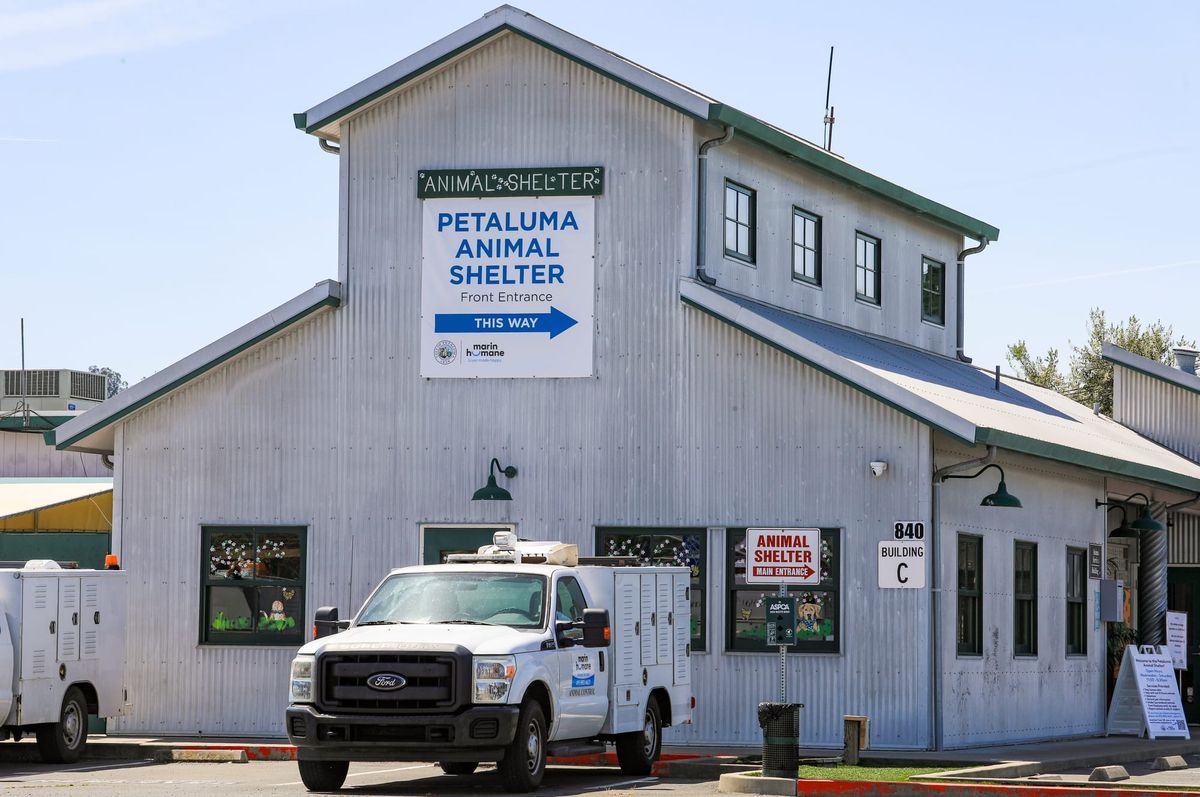 Former shelter provider has ties to Humboldt mass dog grave