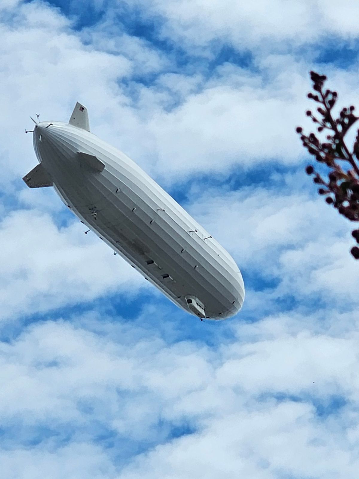 Scene & Herd: The 'blimp'