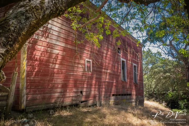 Scene & Herd: Scott Ranch