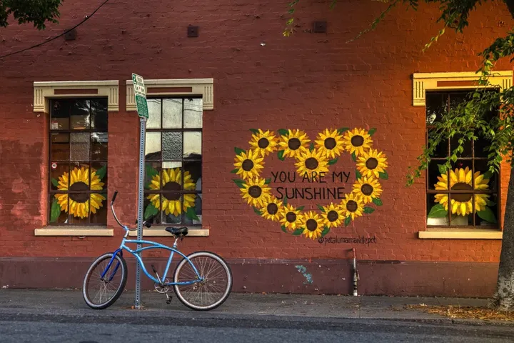 Scene & Herd: You Are My Sunshine