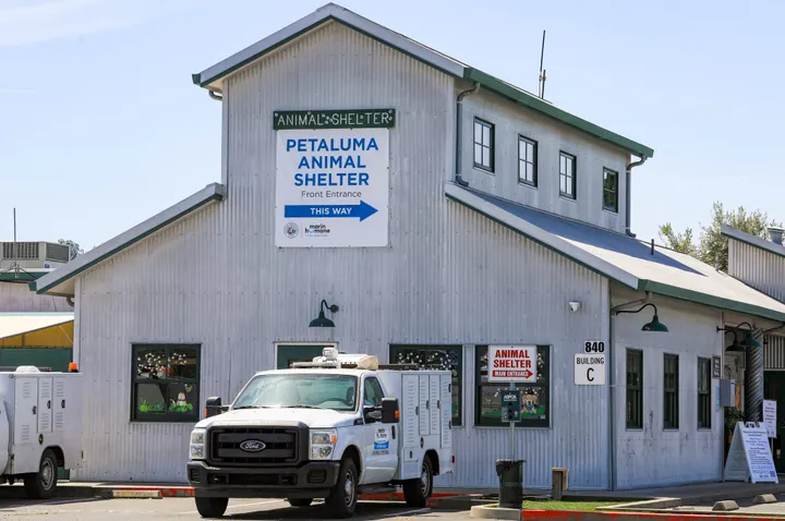 Former shelter provider has ties to Humboldt mass dog grave