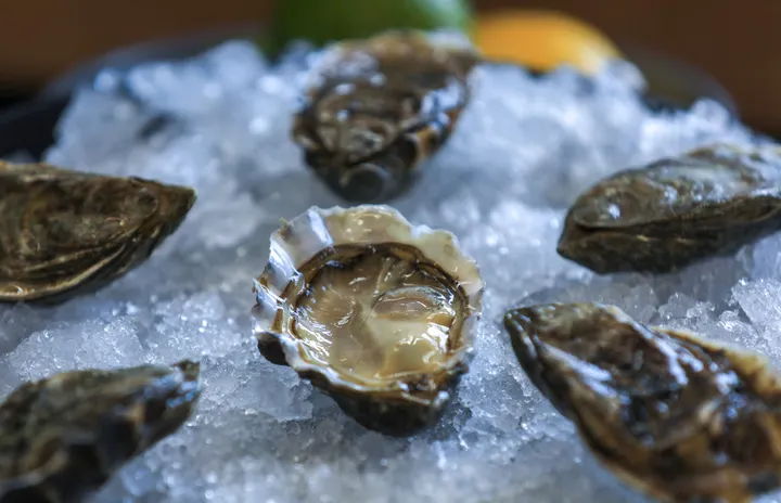 New state plan could boost local oyster and seaweed farming