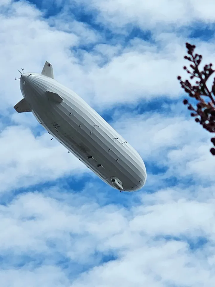 Scene & Herd: The 'blimp'