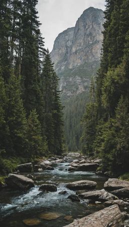 Image of: Announcement